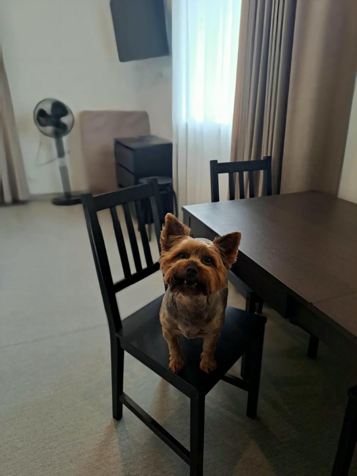 Jaunamuiza Apartamenti 발미에라 외부 사진